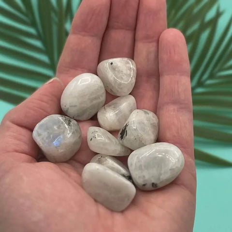 Blue Moonstone Tumbled Stones | Set of 3 Crystals for Intuition, Emotional Clarity, and Divine Feminine Energy