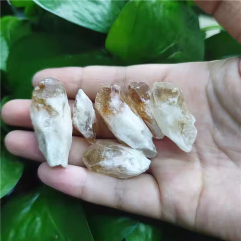 Citrine Raw Point (Single) | Abundance, Positivity & Empowerment
