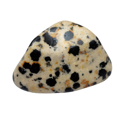 DALMATION JASPER