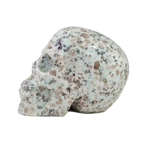 Kiwi Jasper Skull Large | Grounding Energy & Emotional Clarity