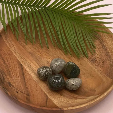Ocean Jasper Tumbled Stones | Set of 3 Crystals for Joy, Emotional Balance, and Soothing Energy