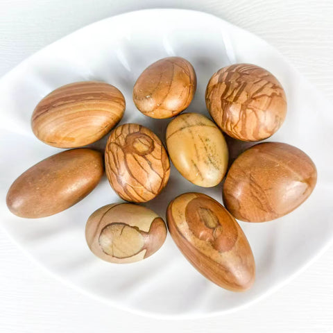 Picture Jasper Stone (Single) | Grounding, Insight & Earth Wisdom