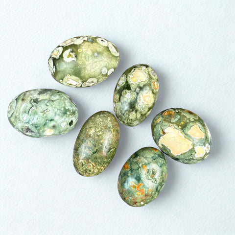 Rainforest Jasper Stone (Single) | Renewal, Earth Energy & Joy
