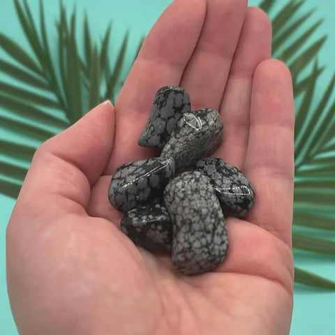 Snowflake Obsidian Tumbled Stones | Set of 3 Crystals for Grounding, Protection, and Inner Balance