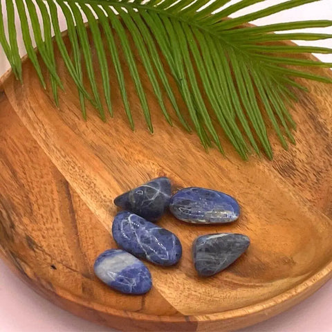 Sodalite Tumbled Stones | Set of 3 Crystals for Clarity, Communication, and Inner Truth