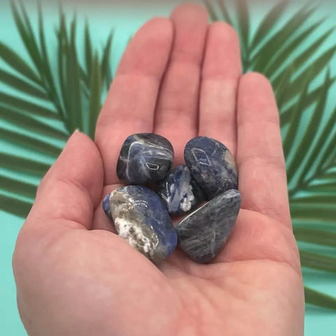 Sodalite Tumbled Stones | Set of 3 Crystals for Clarity, Communication, and Inner Truth