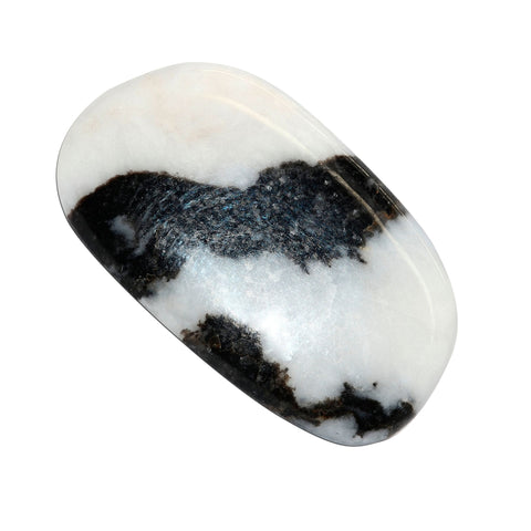 ZEBRA JASPER