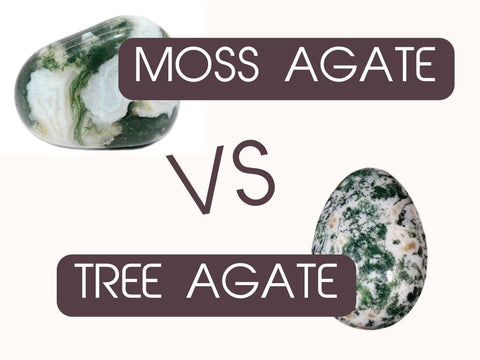 Tree Agate vs Moss Agate: Which One Belongs in Your Collection?
