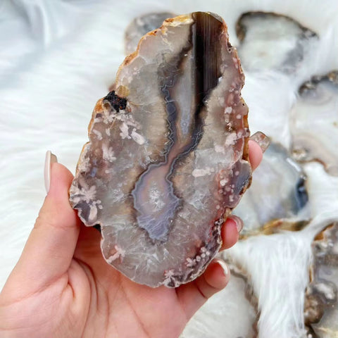 Black Flower Agate Slab | Grounding Crystal for Growth