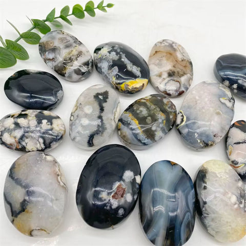 Black Flower Agate Palm Stone | Grounding & Growth Crystal