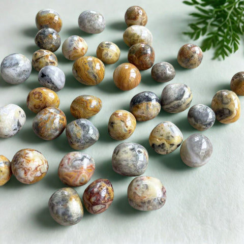 Crazy Lace Agate Stone (Single) | Joy, Vitality & Protective Flow