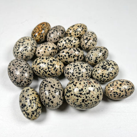 Dalmatian Jasper Stone (Single) | Joy, Playfulness & Grounded Protection